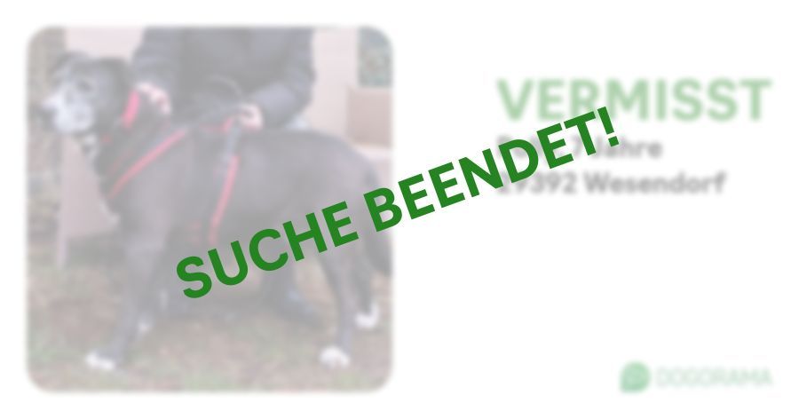 Suchmeldung-Polly-Profilbild