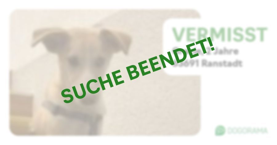 Suchmeldung-Gracie-Profilbild