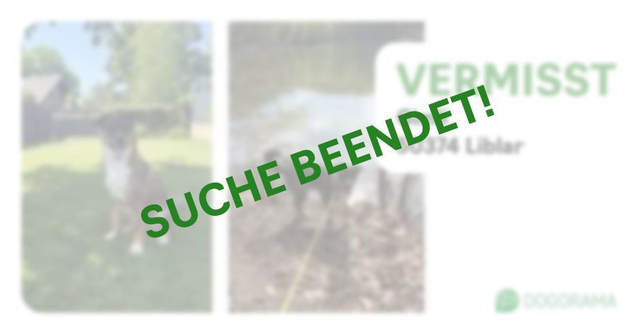 Suchmeldung-Gimli-Profilbild