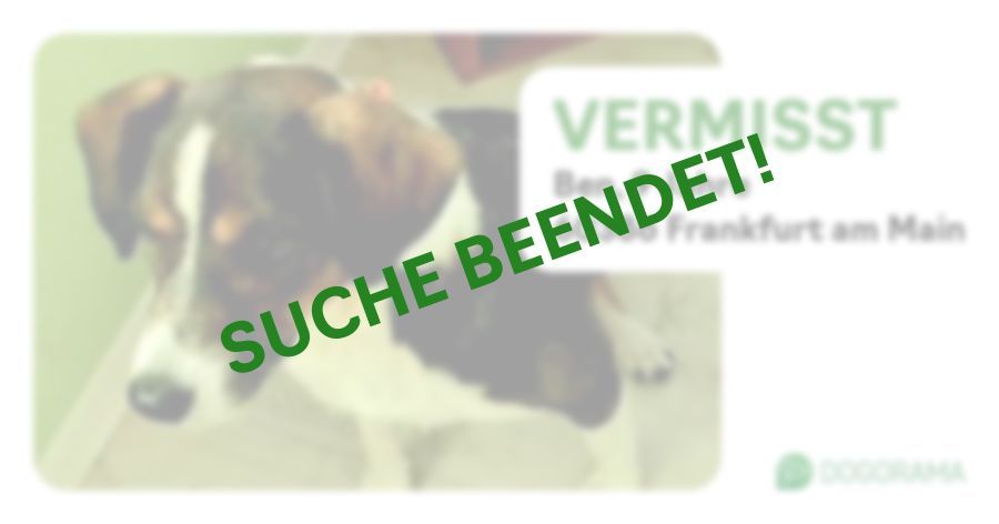 Suchmeldung-Ben-Profilbild