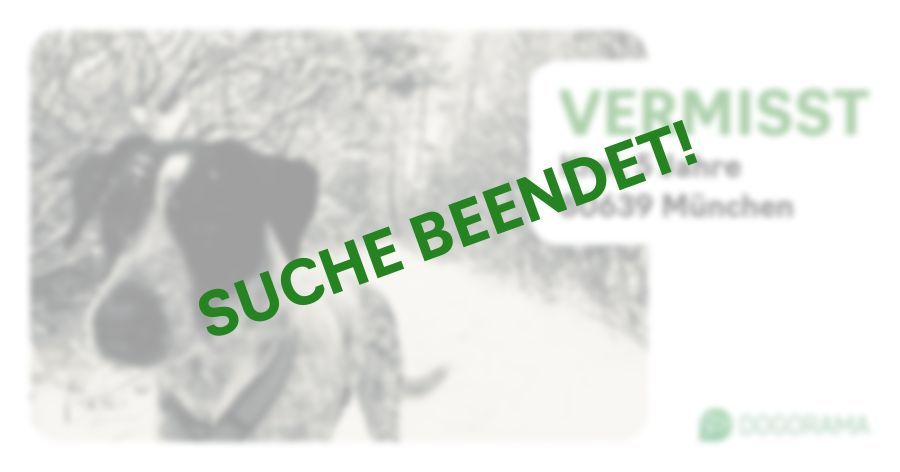 Suchmeldung-Kiwi-Profilbild