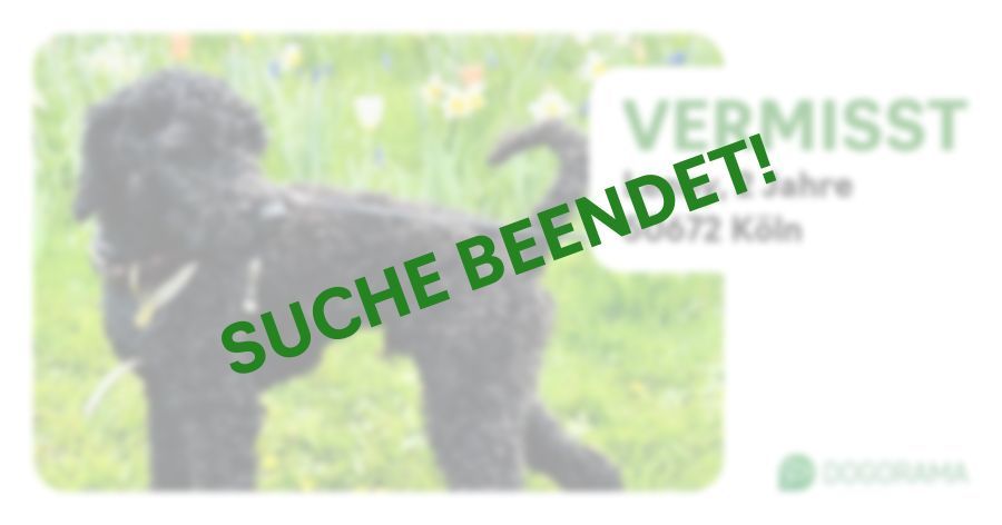 Suchmeldung-Lenny-Profilbild