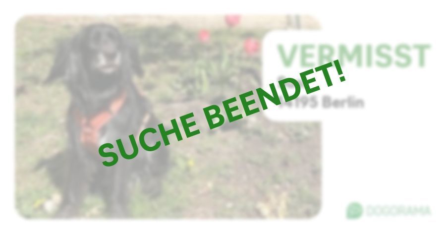 Suchmeldung-Susi-Profilbild