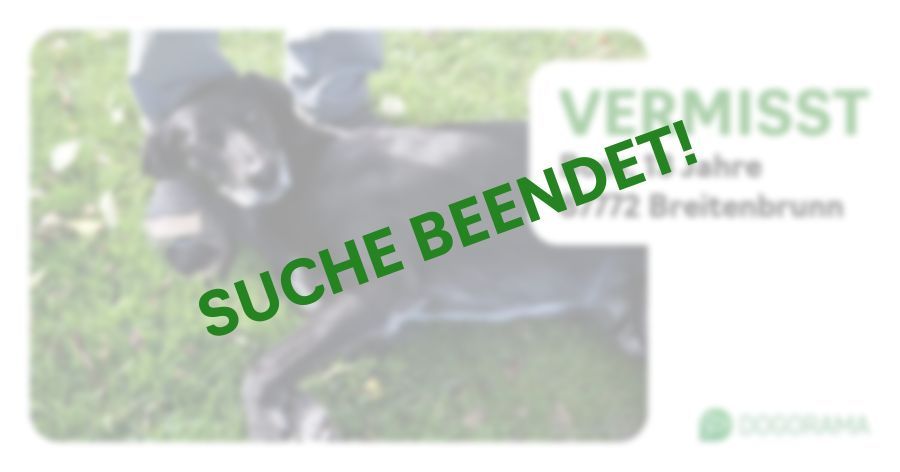 Suchmeldung-Boss-Profilbild