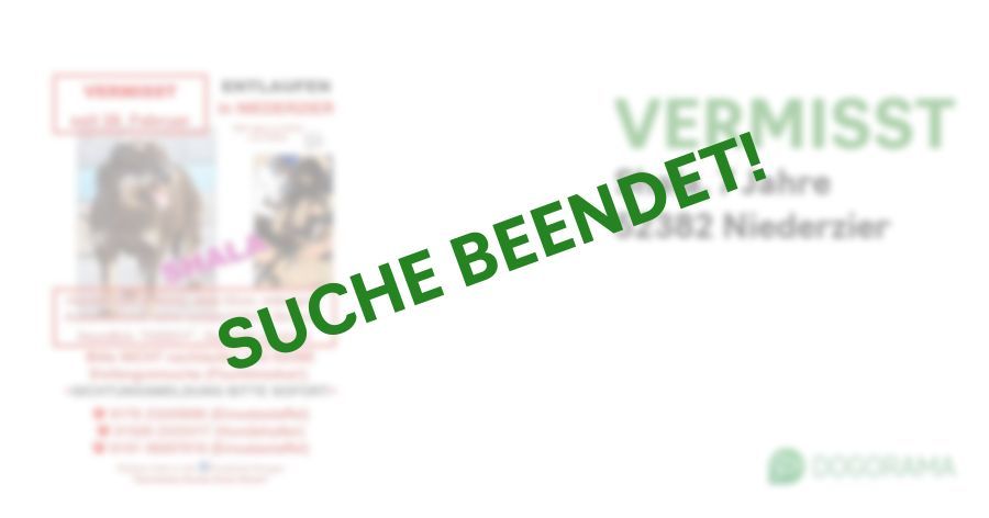 Suchmeldung-Shala-Profilbild