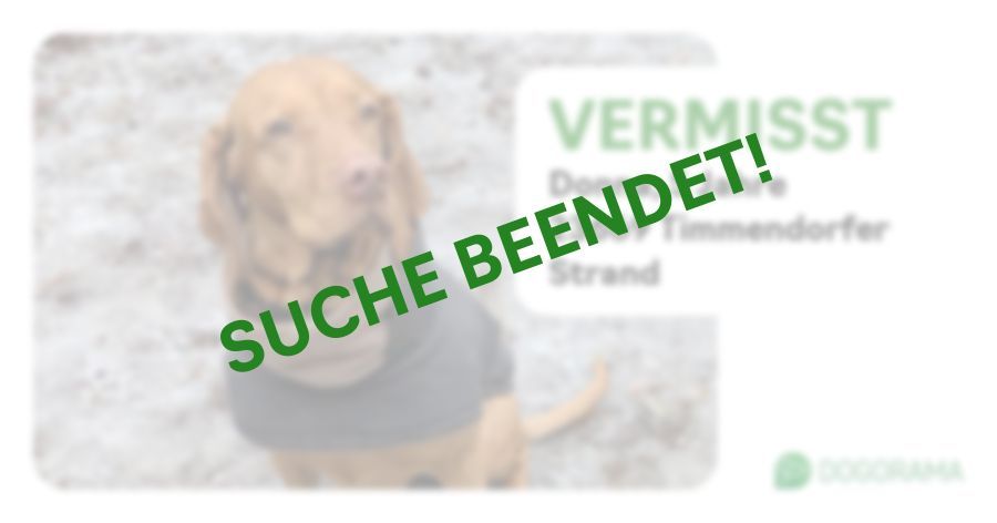 Suchmeldung-Donna-Profilbild