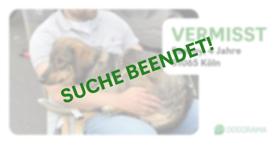 Suchmeldung-Sammy-Profilbild