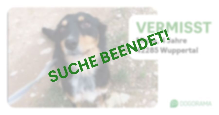 Suchmeldung-Misha-Profilbild