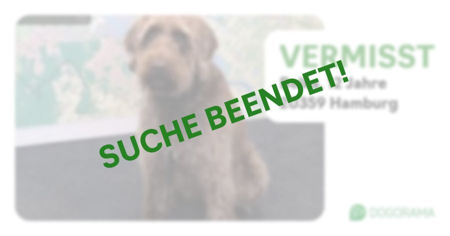 Suchmeldung-Belka-Profilbild