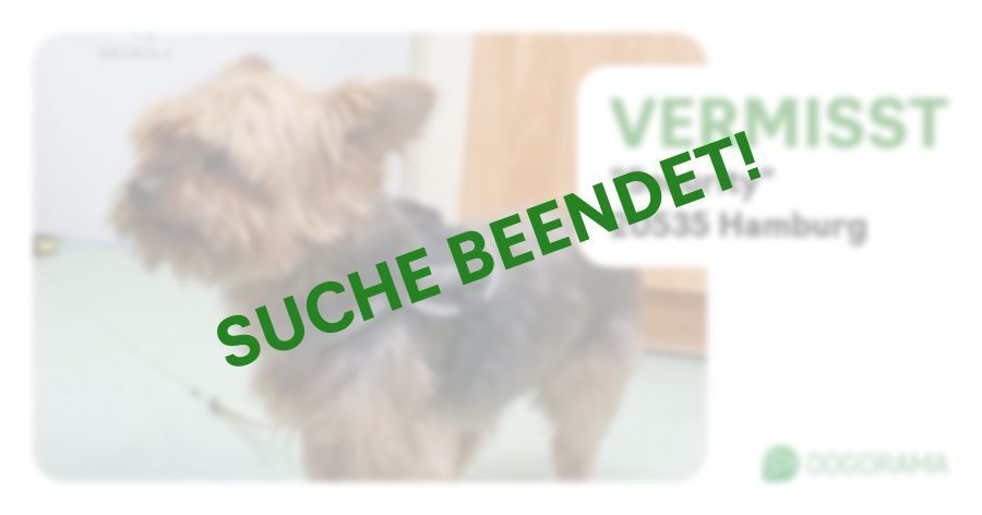 Suchmeldung-"Security"-Profilbild