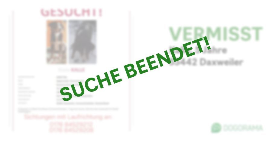 Suchmeldung-Kalle-Profilbild