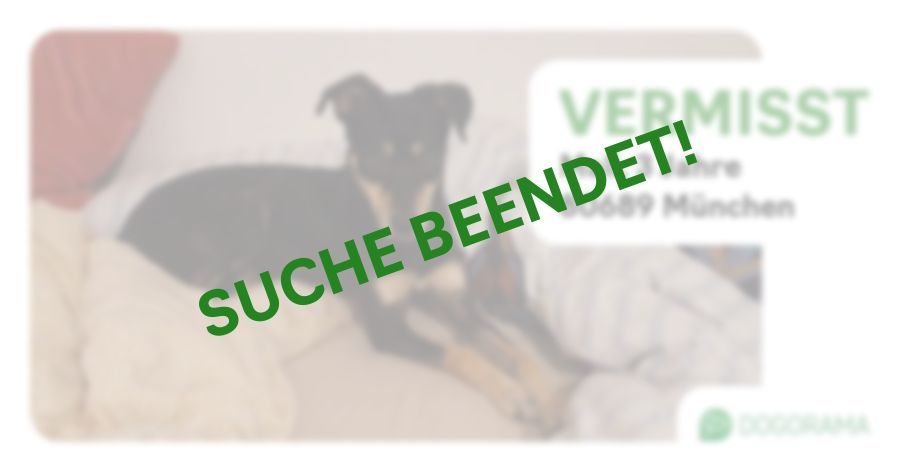 Suchmeldung-Mali-Profilbild