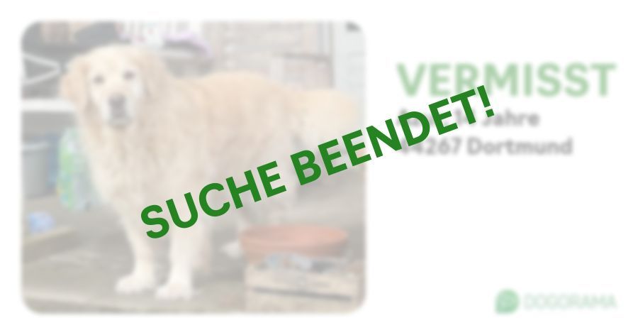 Suchmeldung-Azur-Profilbild