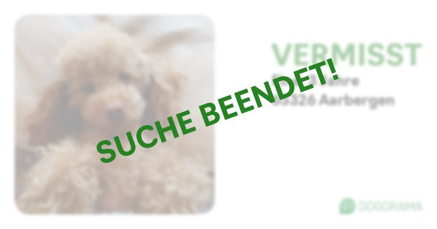 Suchmeldung-Fine-Profilbild