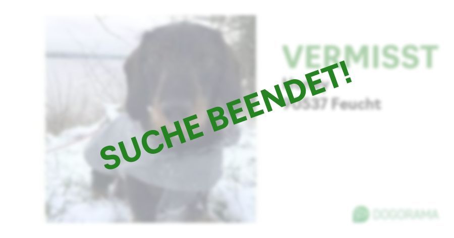 Suchmeldung-Honey-Profilbild