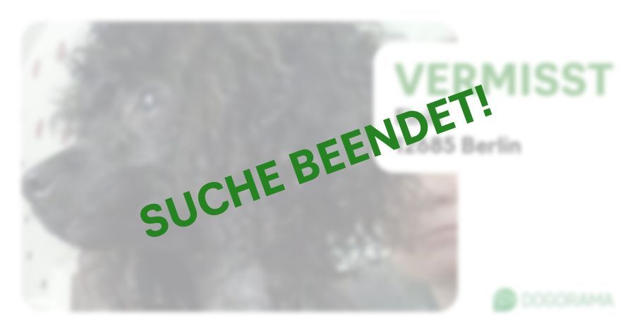 Suchmeldung-Finik-Profilbild