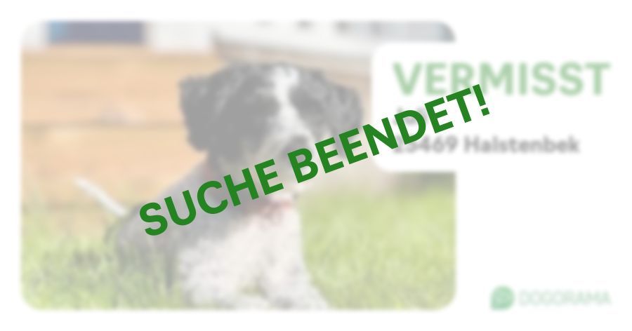 Suchmeldung-Juli-Profilbild
