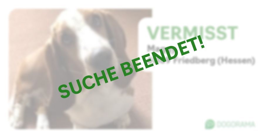 Suchmeldung-Maggy-Profilbild