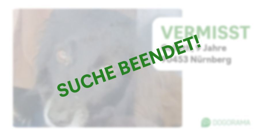 Suchmeldung-Goliath-Profilbild