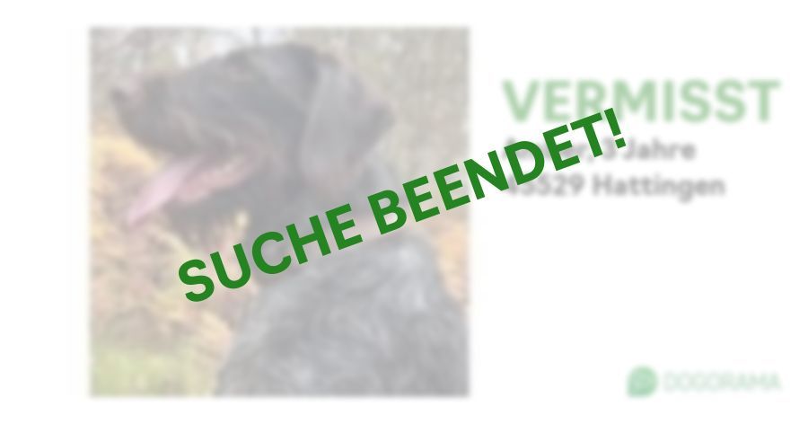 Suchmeldung-Amber-Profilbild