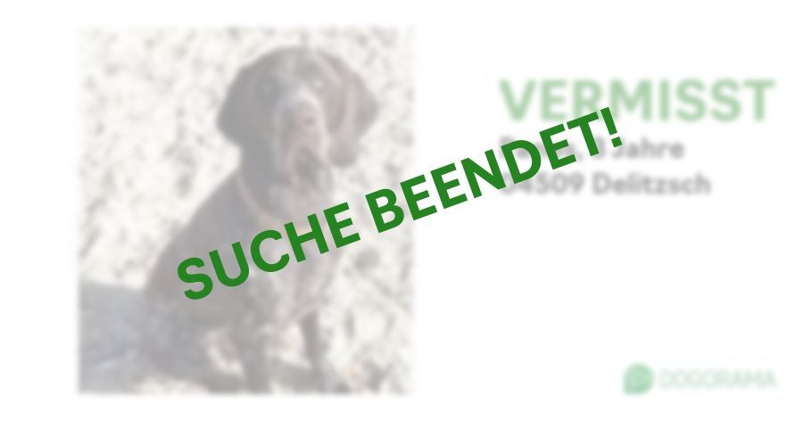 Suchmeldung-Panos-Profilbild