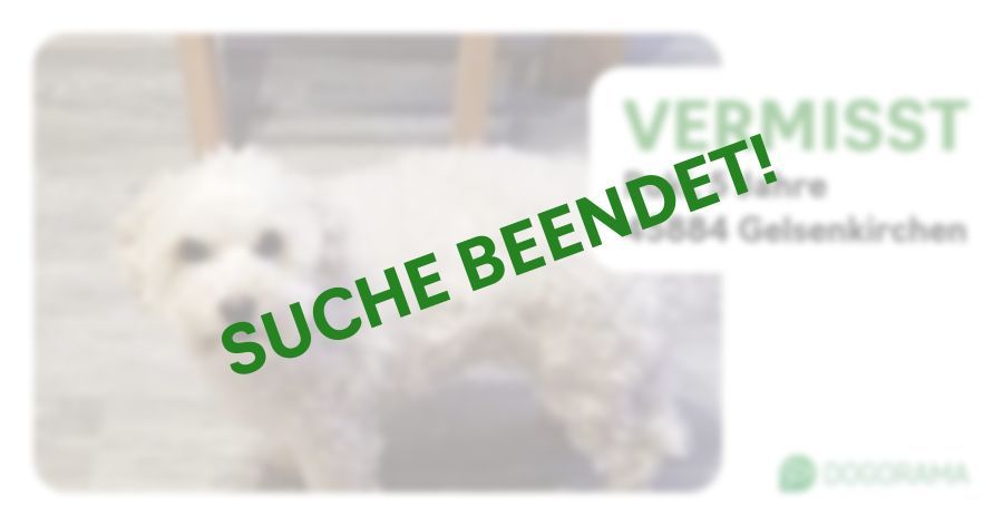 Suchmeldung-Puki-Profilbild