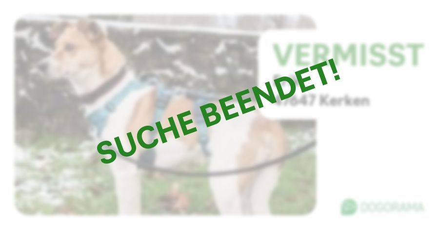 Suchmeldung-Erik-Profilbild