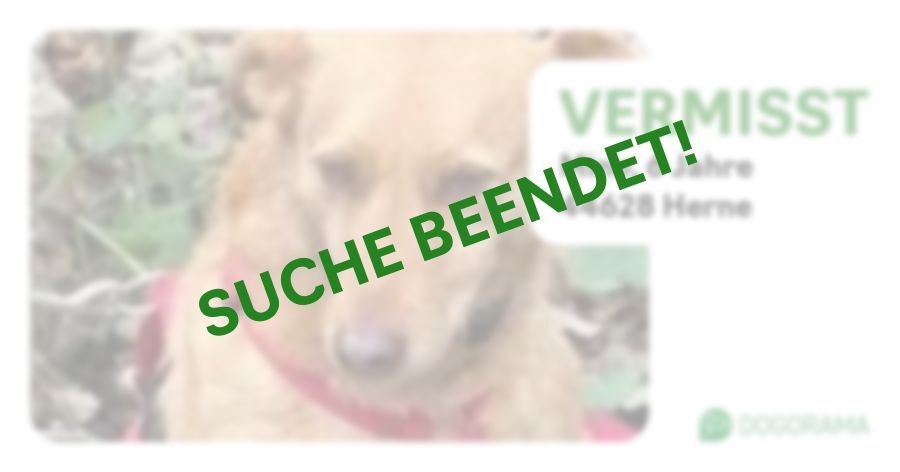 Suchmeldung-Mino-Profilbild