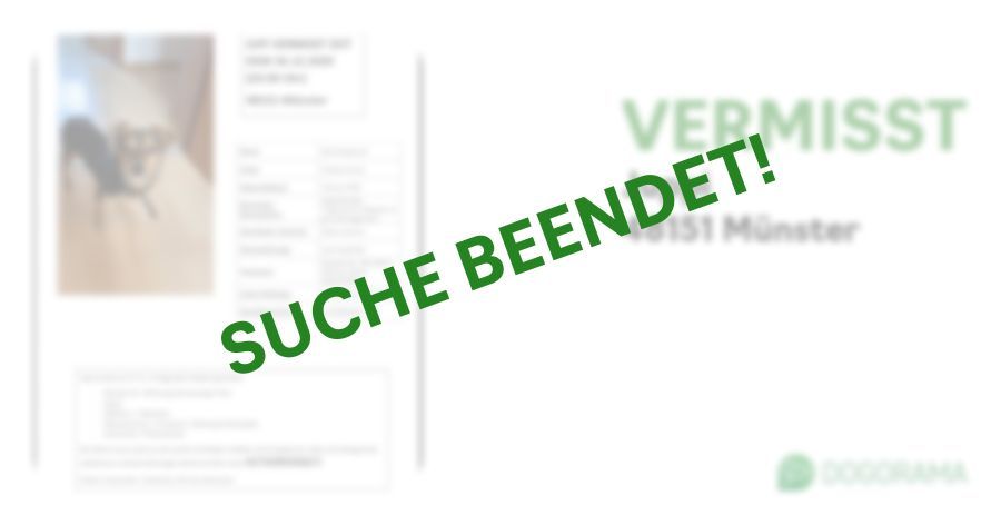 Suchmeldung-Juppi-Profilbild