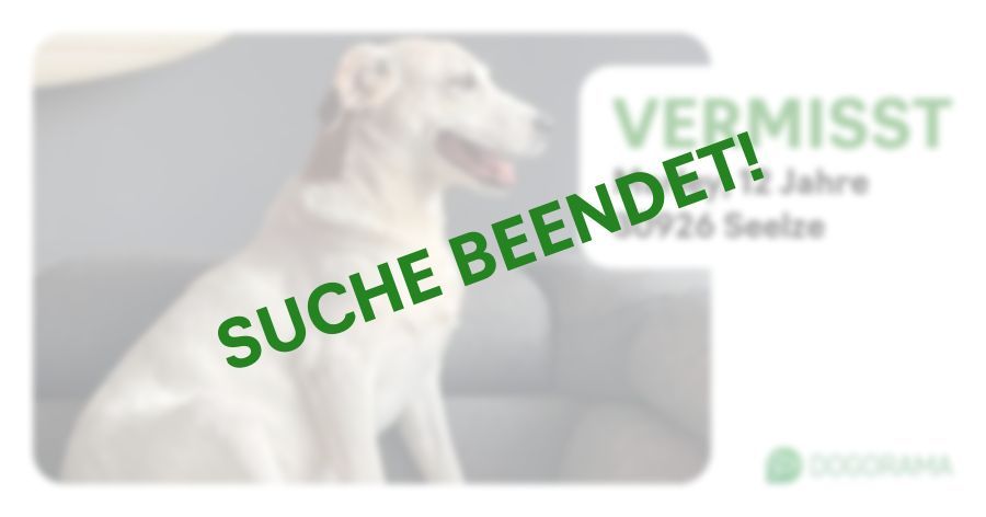 Suchmeldung-Marley-Profilbild