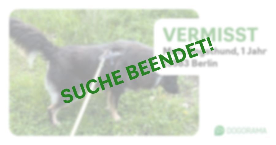 Suchmeldung-Mats Angsthund-Profilbild