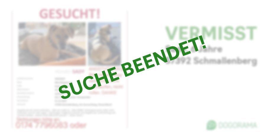 Suchmeldung-Sady-Profilbild