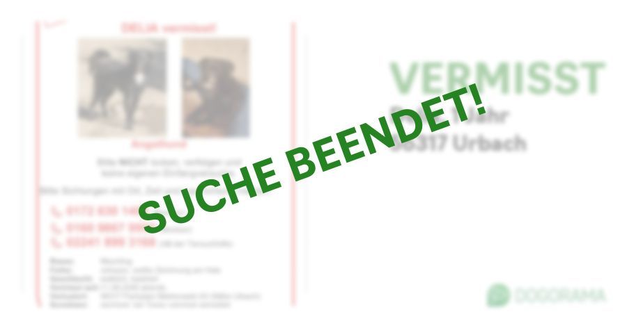Suchmeldung-Delia-Profilbild