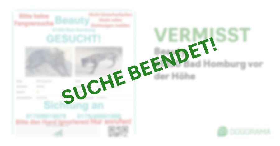 Suchmeldung-Beauty-Profilbild