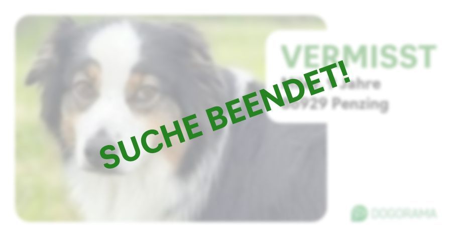 Suchmeldung-Miley-Profilbild