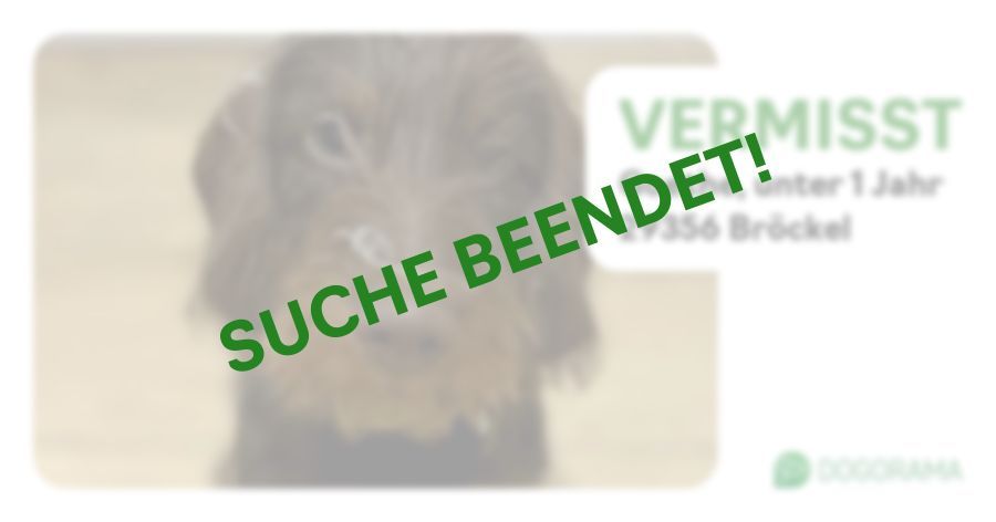 Suchmeldung-Goethe-Profilbild