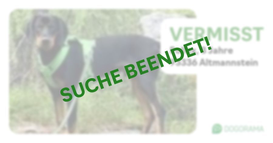 Suchmeldung-Pollux-Profilbild