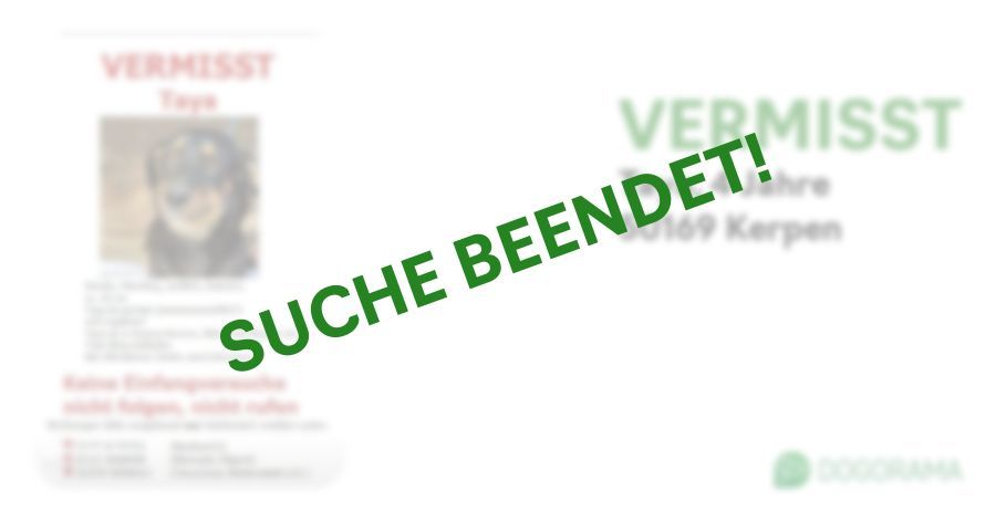 Suchmeldung-Taya-Profilbild