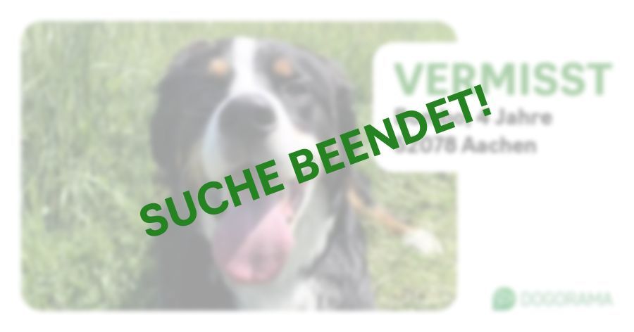 Suchmeldung-Bombo-Profilbild