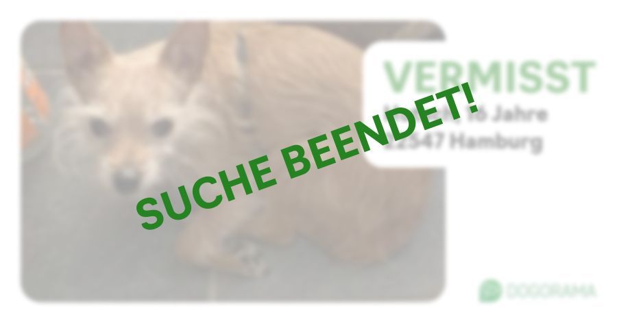 Suchmeldung-Hutsch-Profilbild