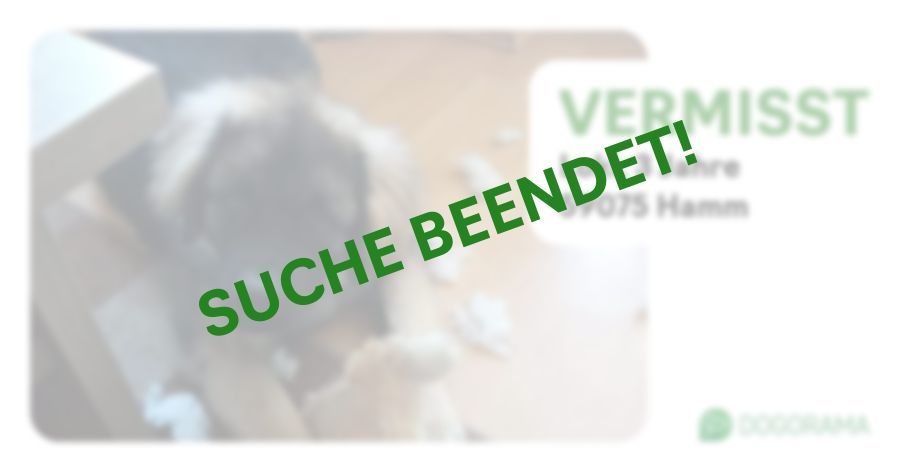 Suchmeldung-Loki-Profilbild