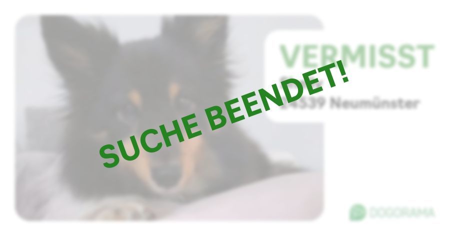 Suchmeldung-Shelly-Profilbild