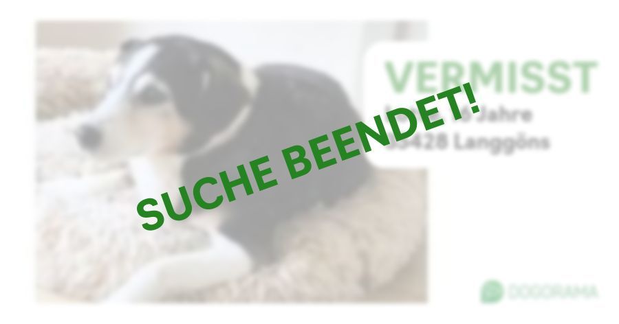 Suchmeldung-Lotte-Profilbild