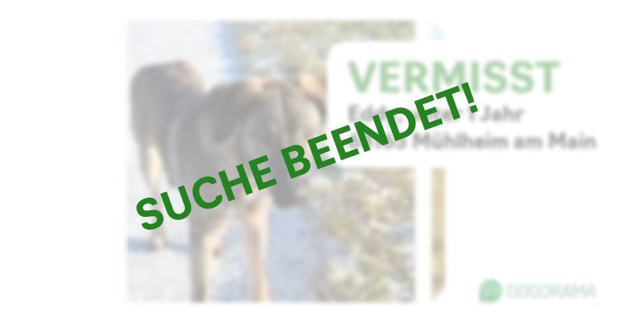 Suchmeldung-Eddy-Profilbild