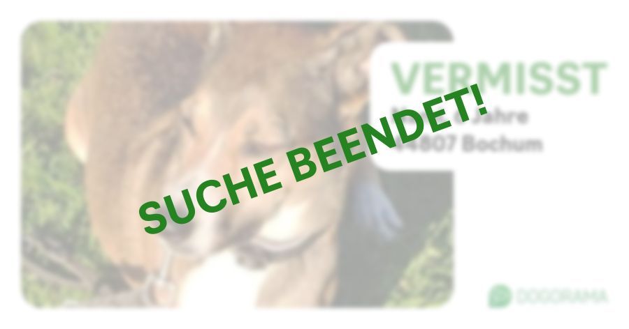 Suchmeldung-Nami-Profilbild