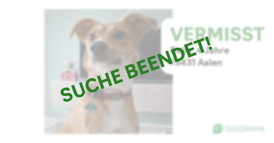 Suchmeldung-Bella-Profilbild