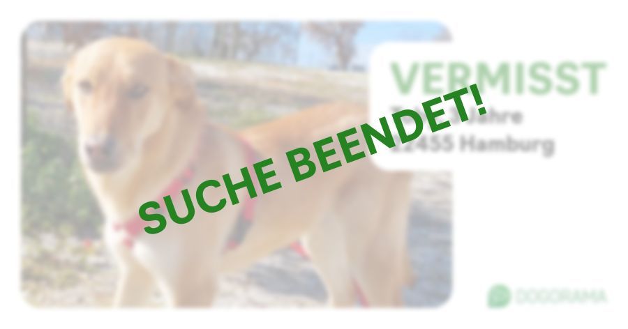 Suchmeldung-Toby-Profilbild