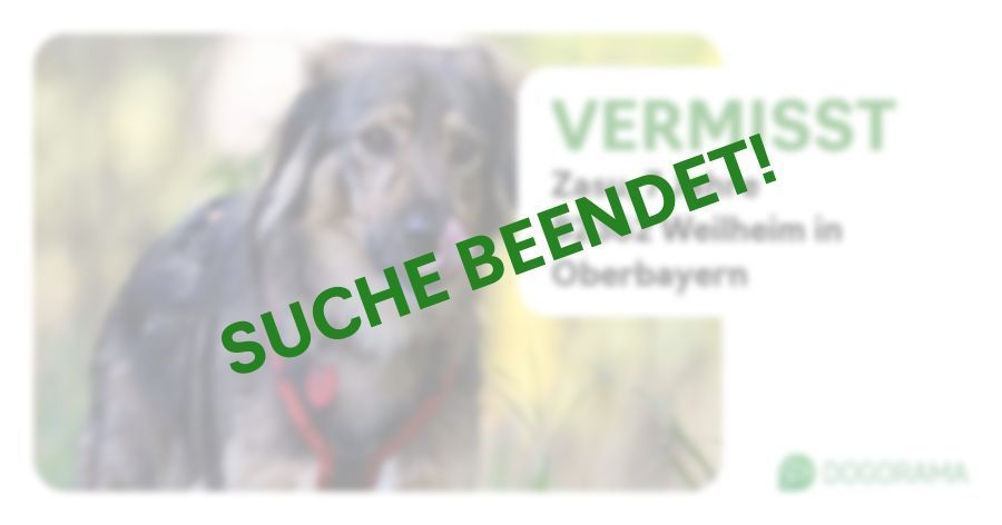 Suchmeldung-Zasu-Profilbild