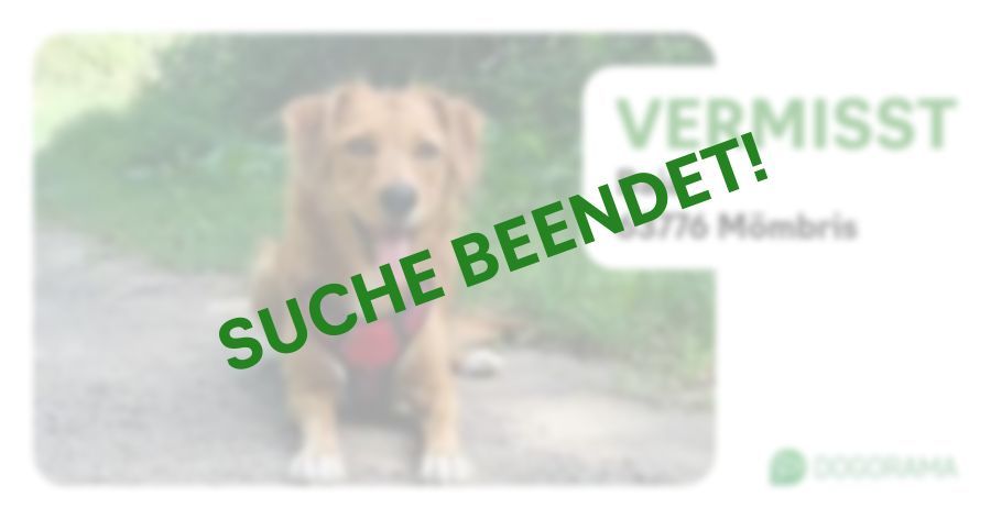 Suchmeldung-Baia-Profilbild