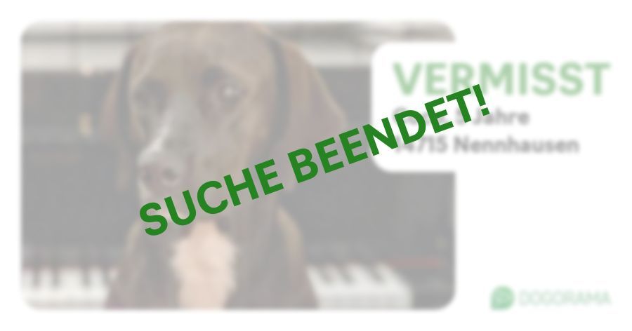 Suchmeldung-Coco-Profilbild